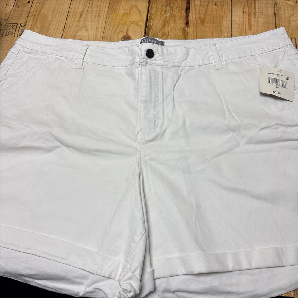 Women’s size 24 shorts